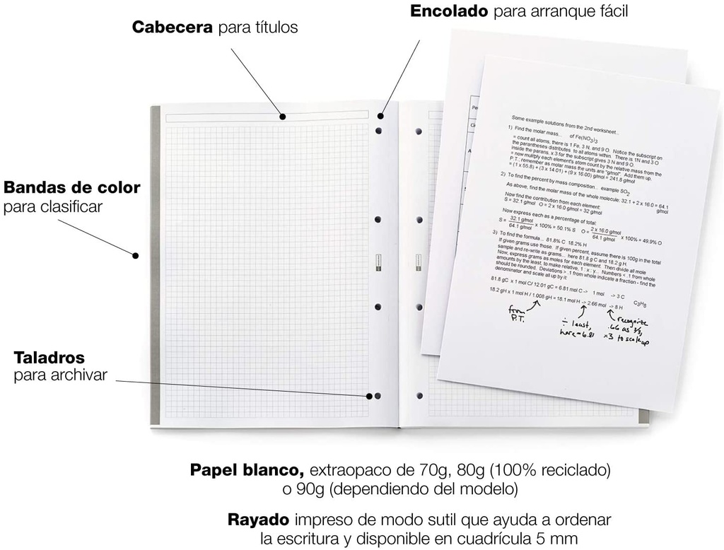 Recambio 5x5 A4 90gr 100h 4t 5b intensos mr