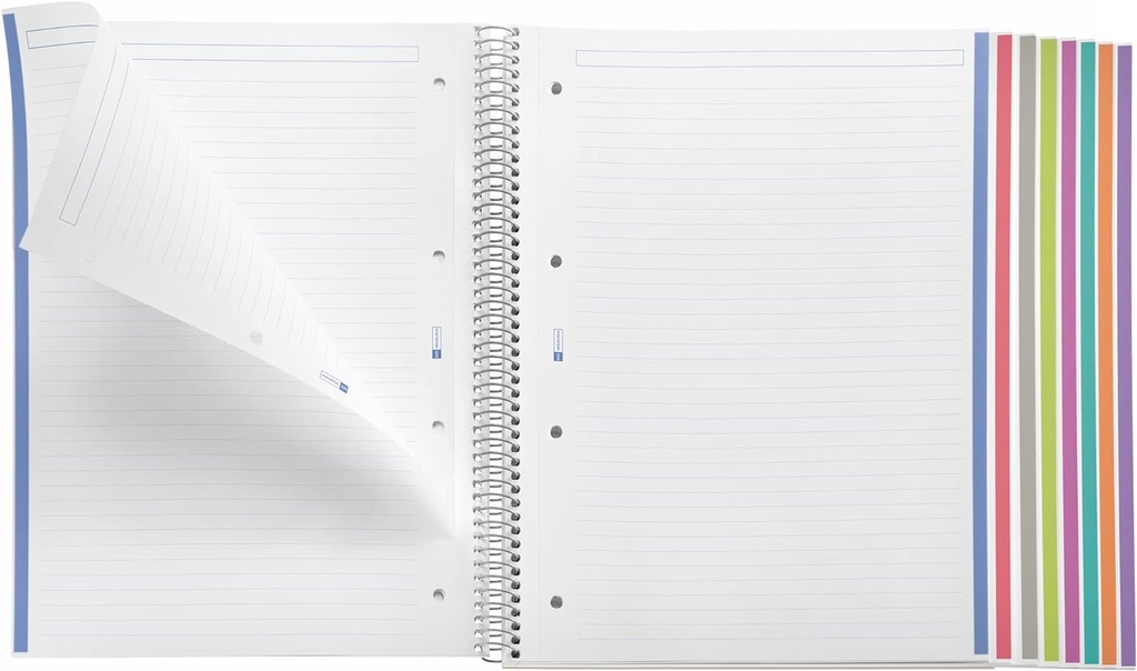 Cuaderno espiral 1L A4 70g 200h 8B 4T T/P- 8 franjas de colores Miquelrius
