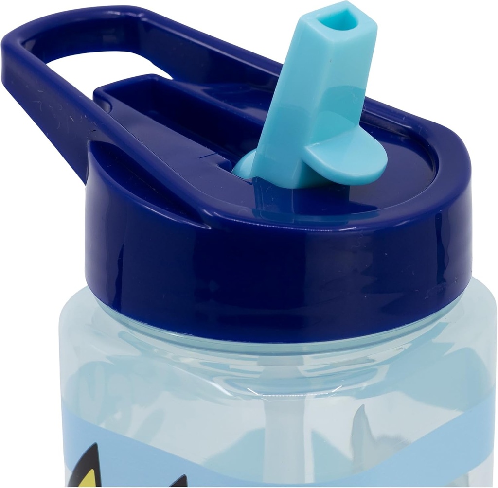 Botella de agua reutilizable cuadrada con pajita incorporada de 510 ml de Bluey