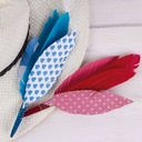 Plumas indio colores surtidos 100uds Apli