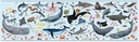 Puzzle educativo de Animales amenazados, modelo Océano, 200 piezas tamaño 6x3 cm +6A Apli
