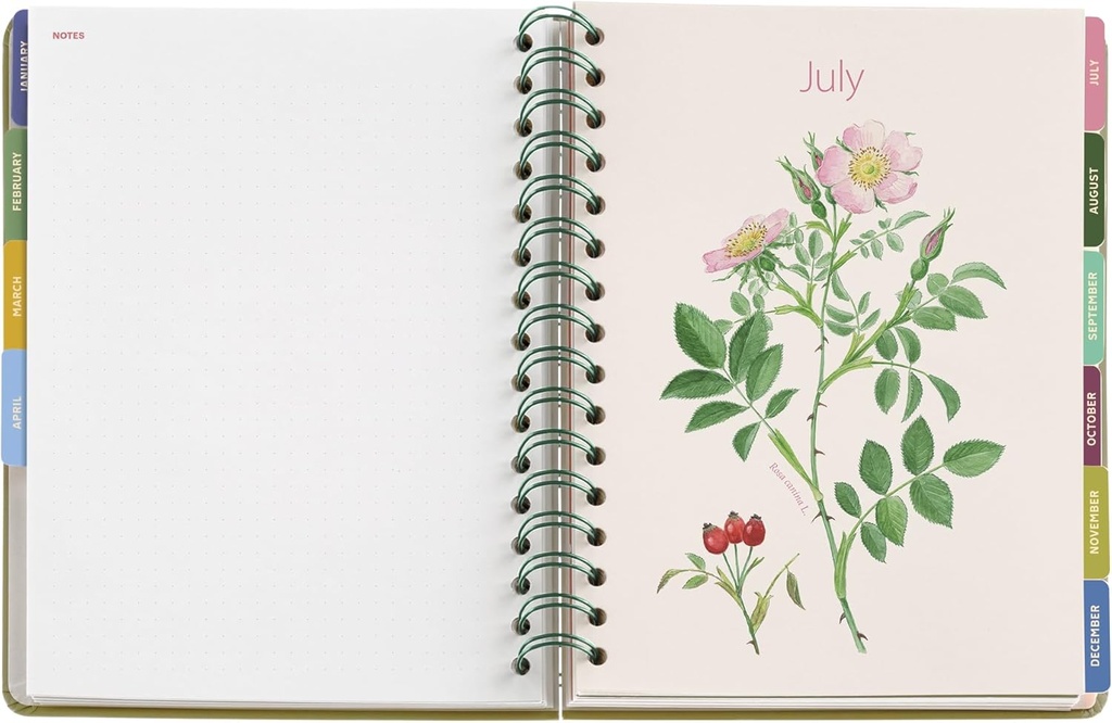 Agenda 2026 día por página, Similar A5+ (164 x 218 mm), Planificación diaria, Doble espiral, Cubierta cartón plastificado, Papel 100 g/m², 6 idiomas, Stickers, Diseño EntreDos, Amapola Miquelrius