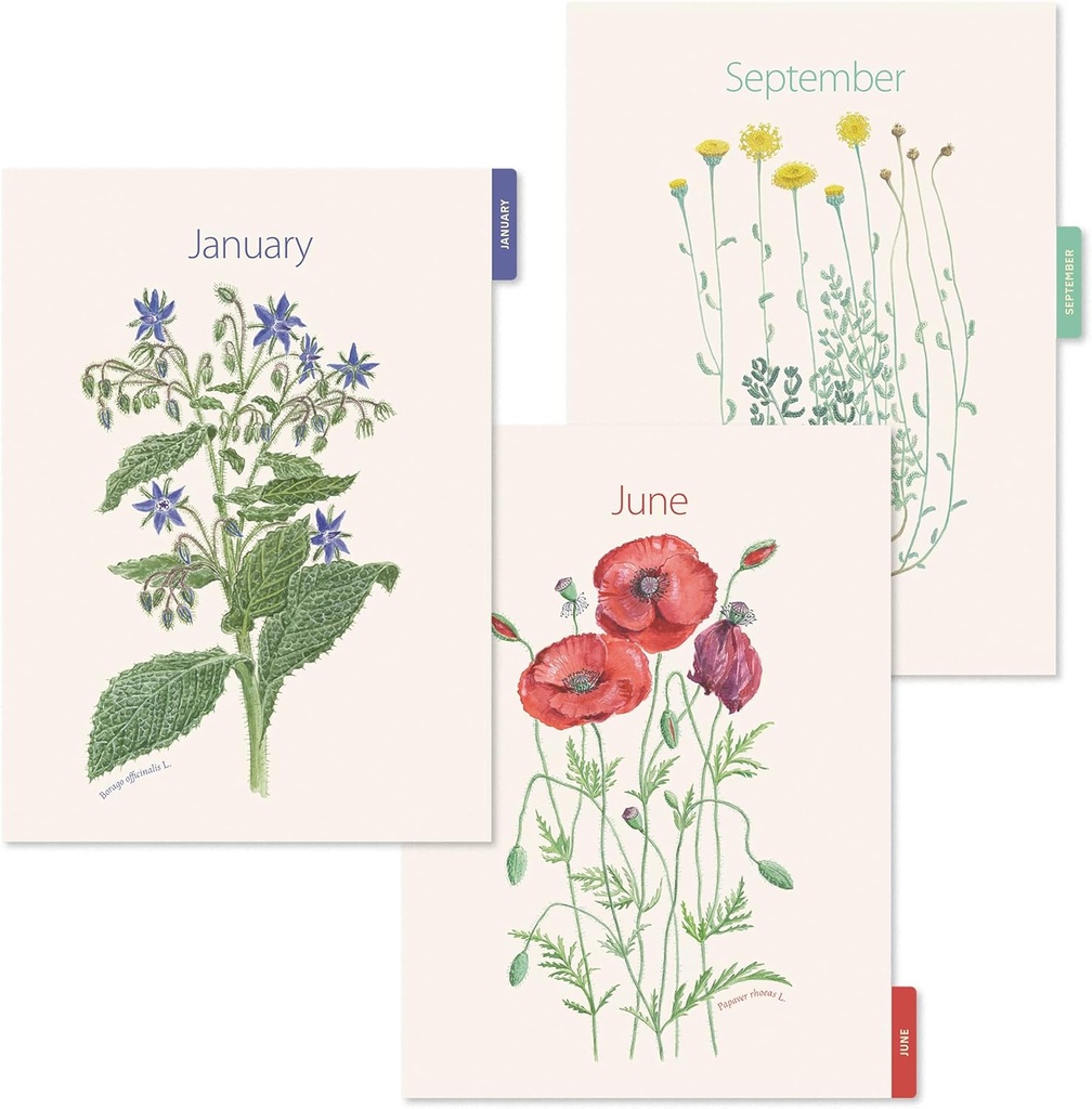 Agenda 2026 día por página, Similar A5+ (164 x 218 mm), Planificación diaria, Doble espiral, Cubierta cartón plastificado, Papel 100 g/m², 6 idiomas, Stickers, Diseño EntreDos, Amapola Miquelrius