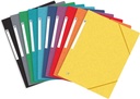 Carpeta Gomas A4 3 solapas cartulina Top File colores surtidos vivos  Oxford
