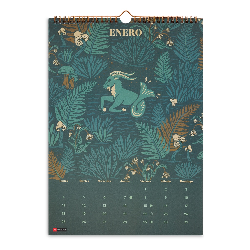 Calendario Pared 28x39,7 Astral 2027