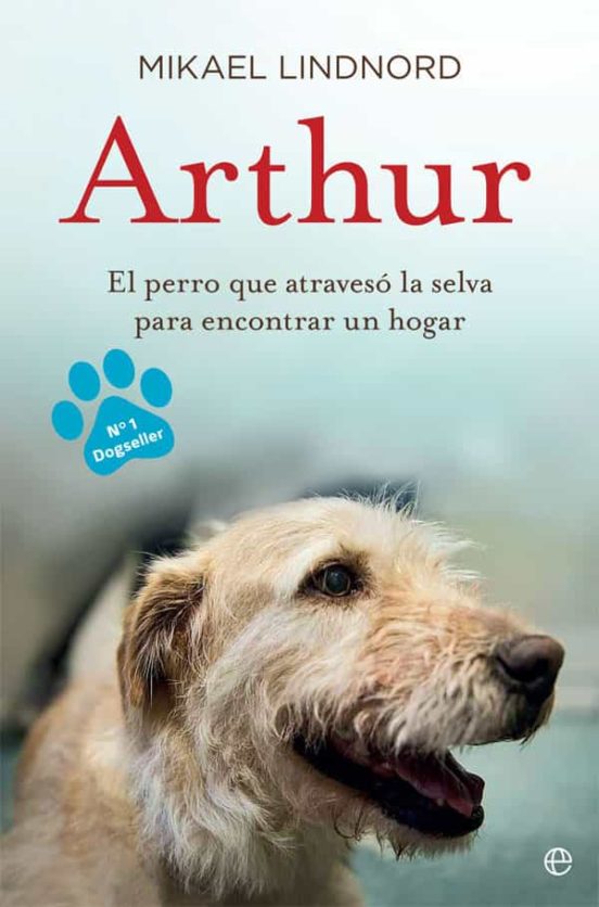 Arthur: el perro que atraveso la jungla para encontrar un hogar