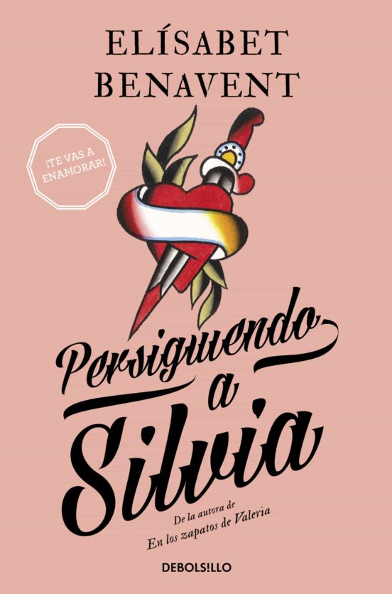 [9788490628522] Persiguiendo a silvia