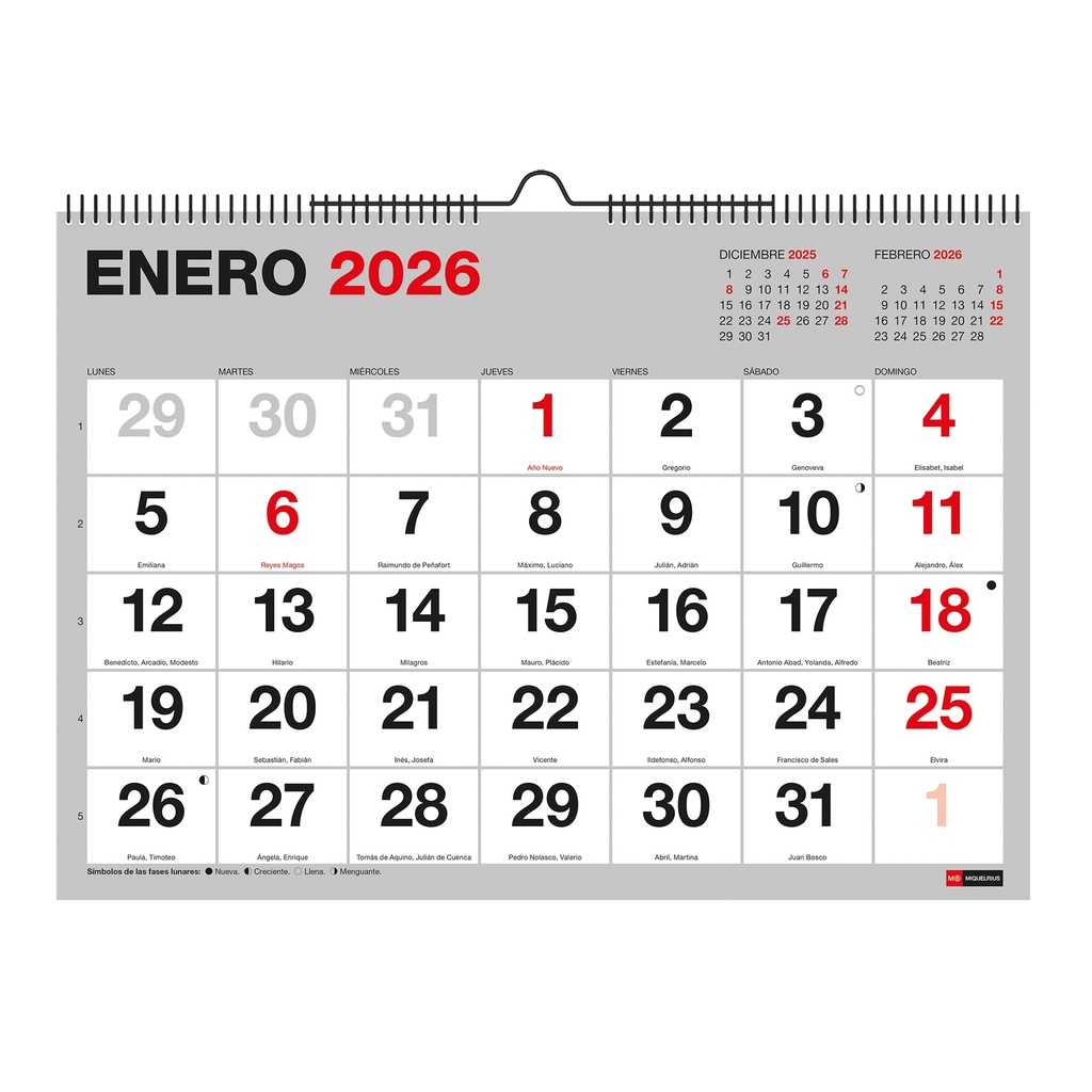 [MR28300] Calendario 2026 de pared Basic, Con números grandes, Organizador anual A4: 296 x 210 mm, Con espacio para anotar, Encuadernación espiral doble, Planificador 12 meses, Español Miquelrius