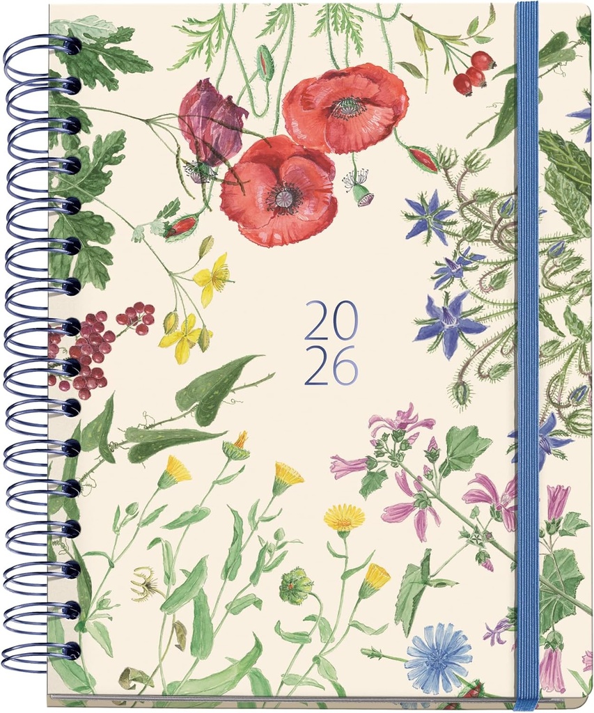 [MR34580] AG.PLUS W-O S/V JARDIN ENTREDOS 26